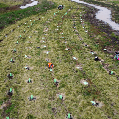 Billabong Farm Tree Planting