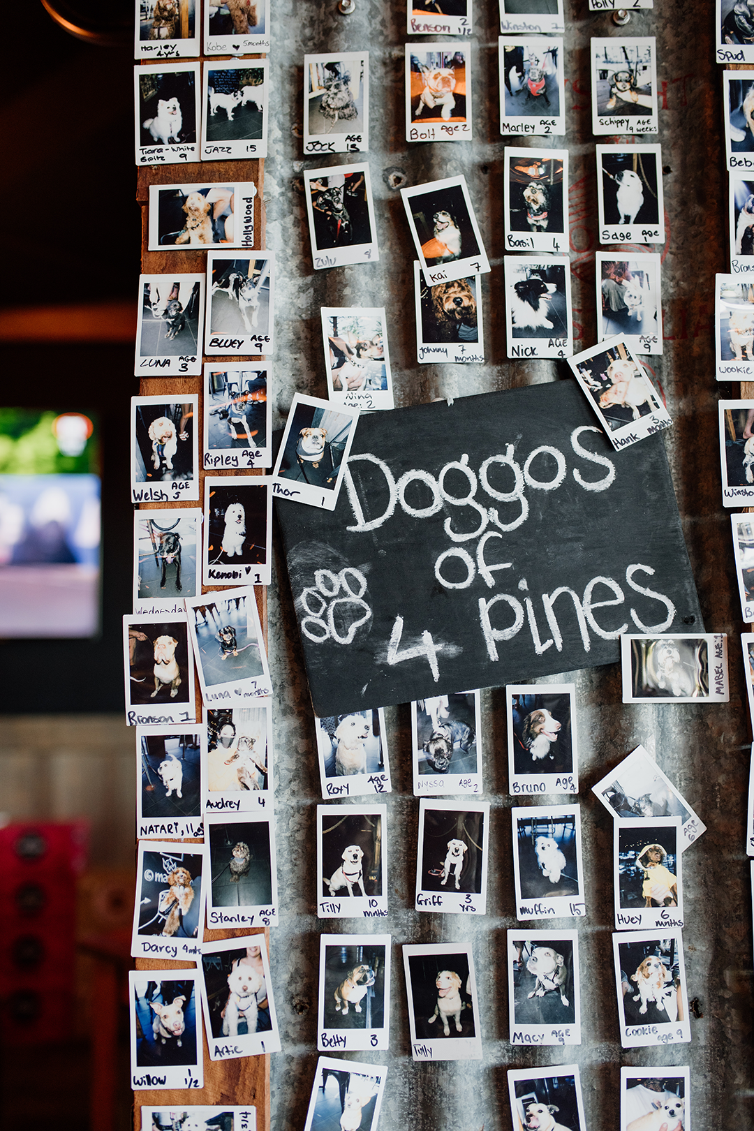 4 Pines x Boardriders Coolangatta